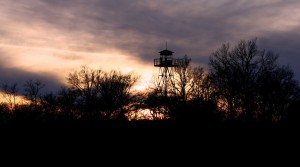 watchtower in the forest